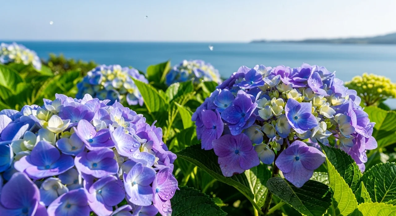 국내 6월 여행지 추천: 꽃과 자연의 향연