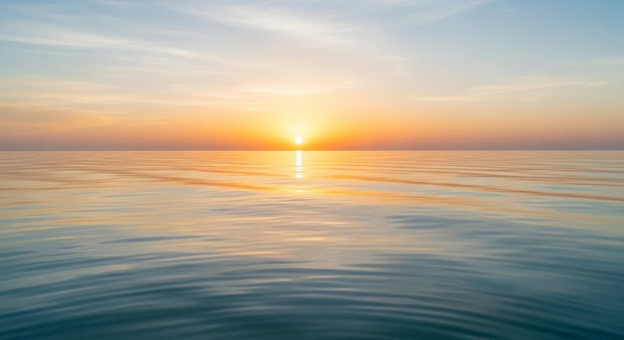 건강 정보 및 면책 문구