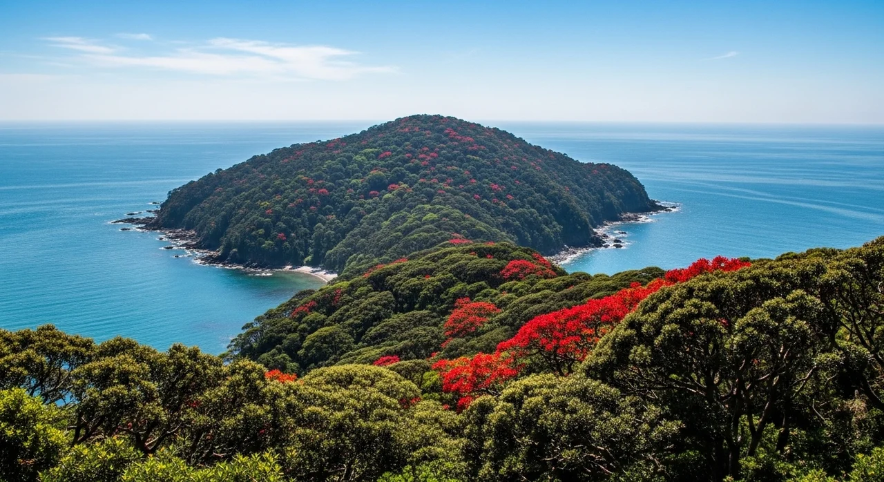 지역별 주요 동백꽃 명소 비교 가이드