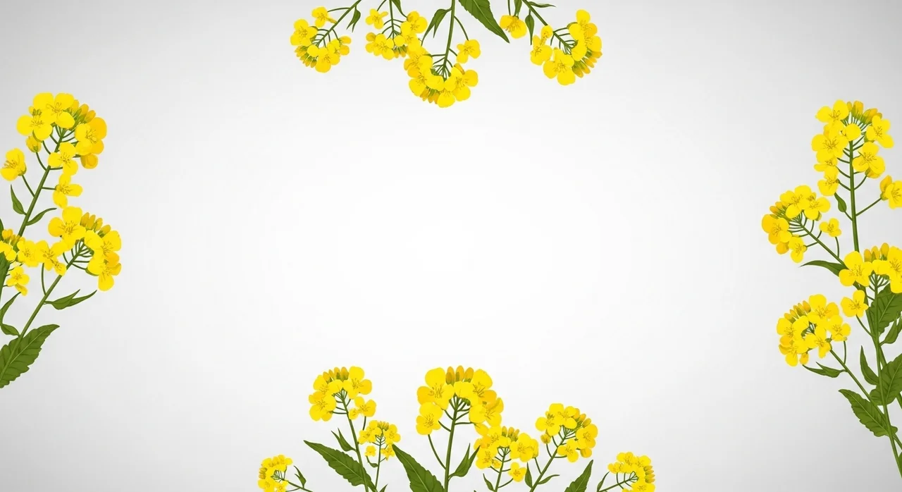 축제 일정 및 기본 정보 한눈에 보기
